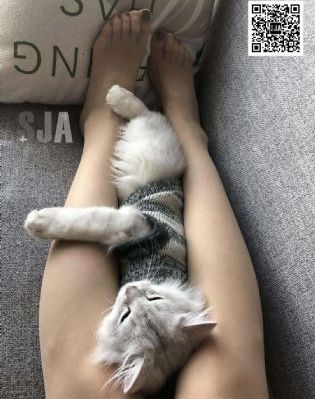 日韩欧美好好干_BD韩语神马影院在线
