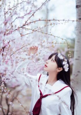 欧美性bbbbxxxx_1080P神马在线观看